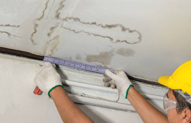 Reliable Structural Drying contractor in Hannibal, MO by Water Damage Irwin